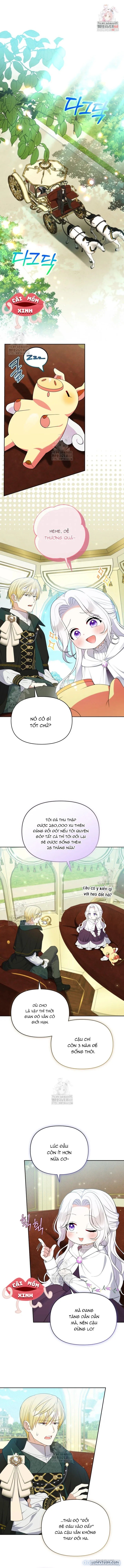 Cái Giá Của Tái Sinh 