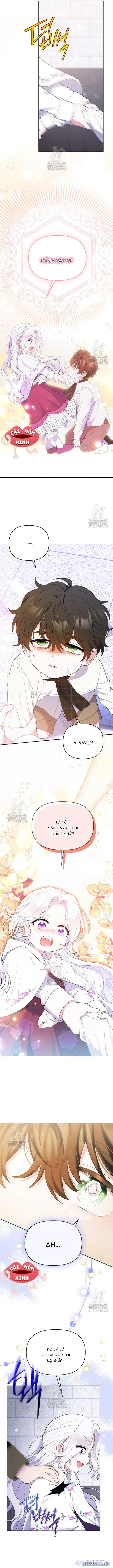 Cái Giá Của Tái Sinh 