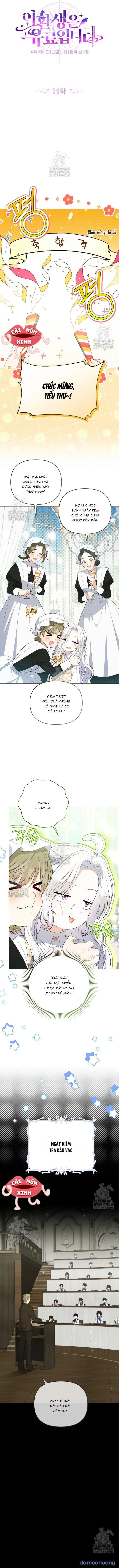Cái Giá Của Tái Sinh 