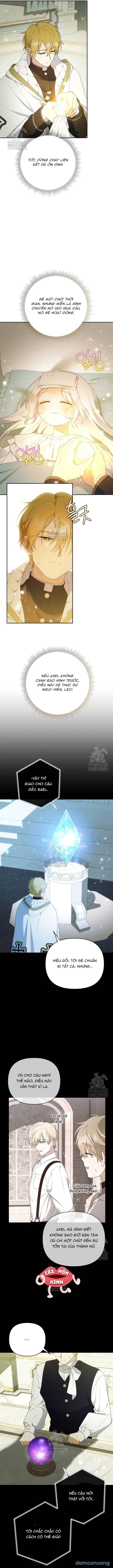 Cái Giá Của Tái Sinh 