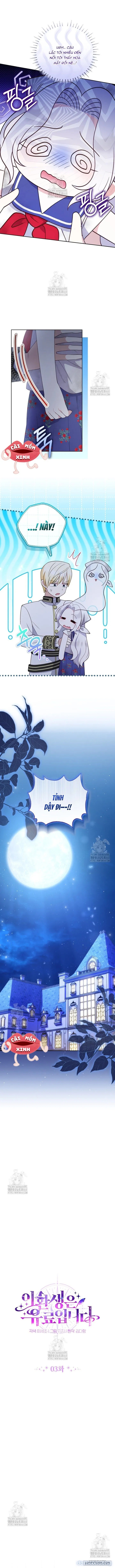 Cái Giá Của Tái Sinh 