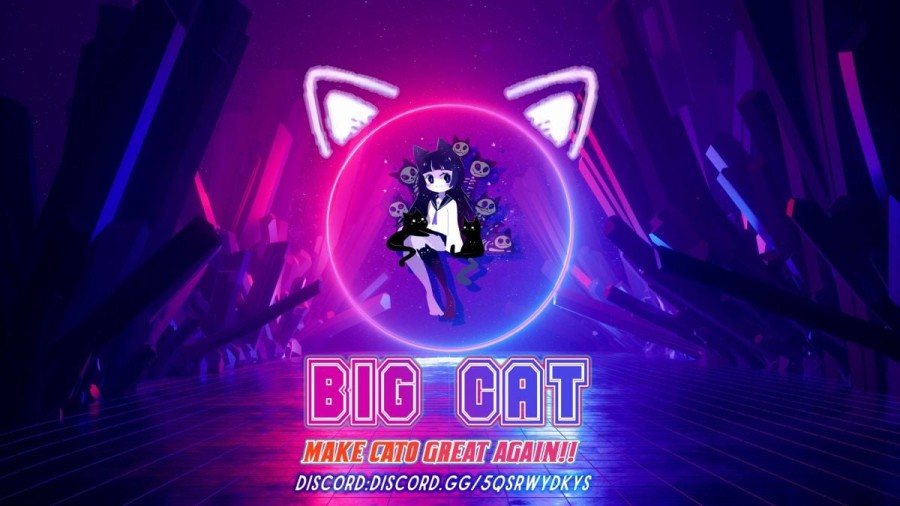 Bé mèo giận dỗi 