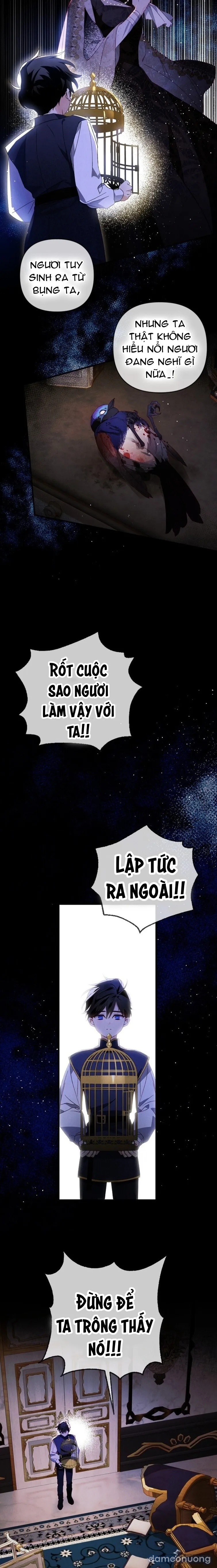 Nuôi Vị Hôn Phu Bằng Tiền Bạc 