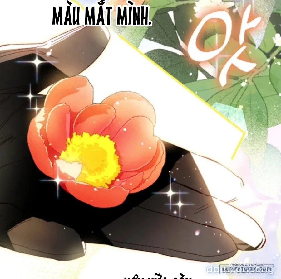 Nuôi Vị Hôn Phu Bằng Tiền Bạc 