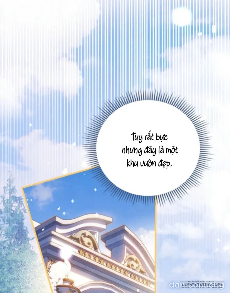 Nuôi Vị Hôn Phu Bằng Tiền Bạc 
