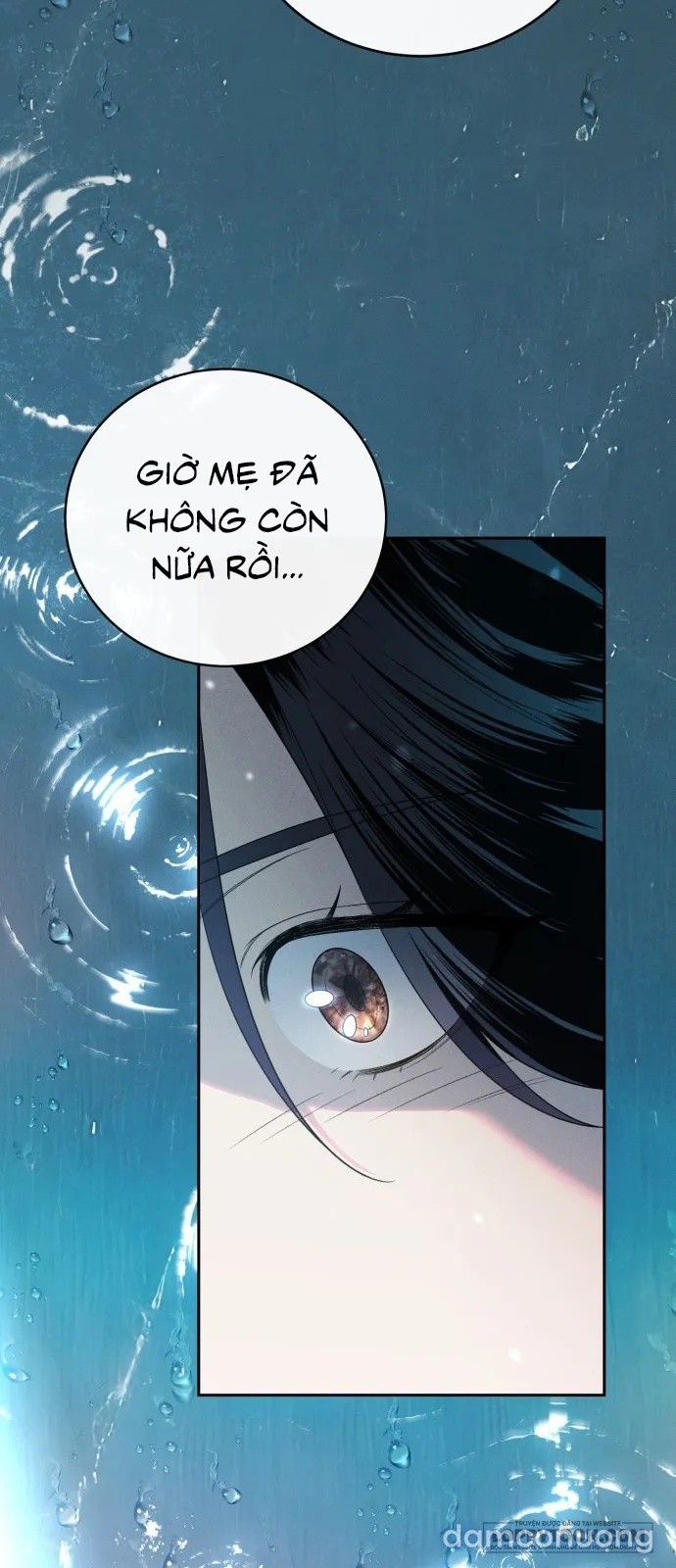 Kẻ Trộm Chồng 