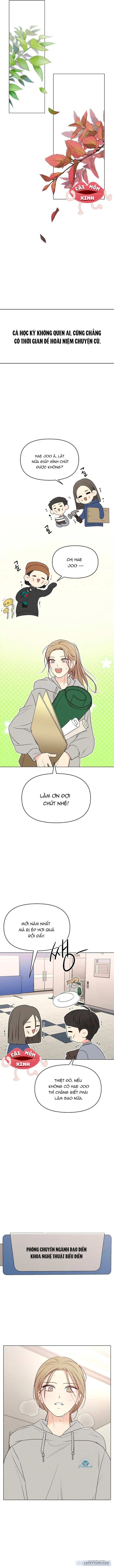 Soái Ca Kiểu Mẫu 