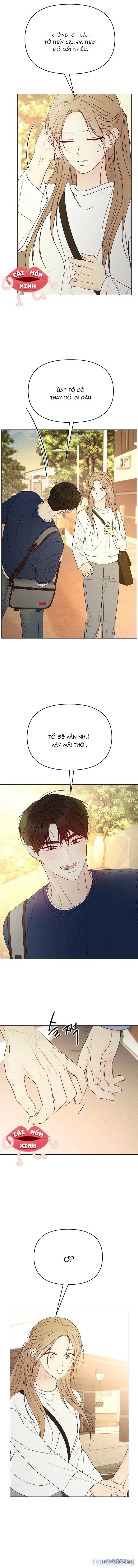 Soái Ca Kiểu Mẫu 