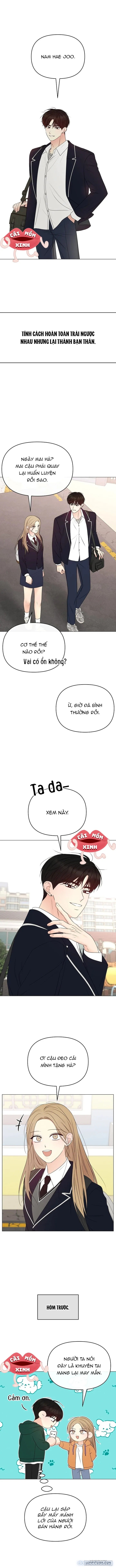 Soái Ca Kiểu Mẫu 