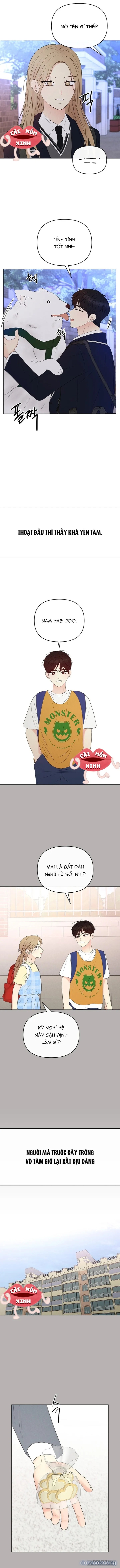Soái Ca Kiểu Mẫu 