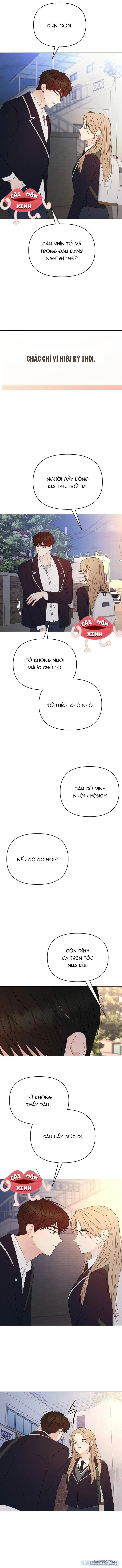 Soái Ca Kiểu Mẫu 