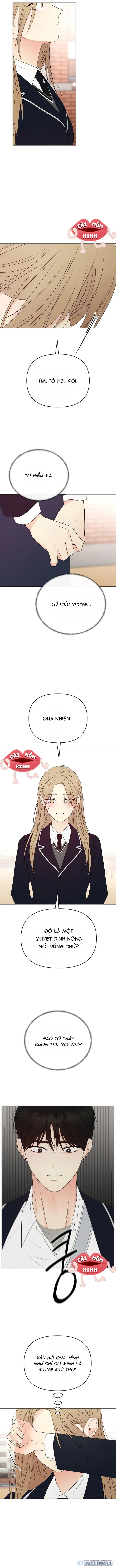 Soái Ca Kiểu Mẫu 