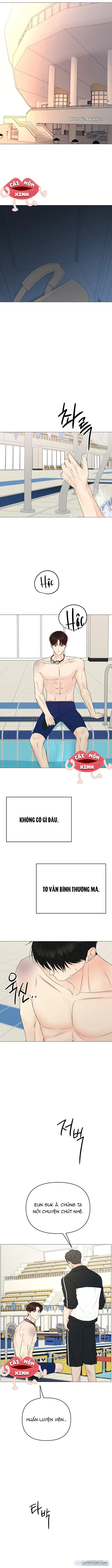 Soái Ca Kiểu Mẫu 