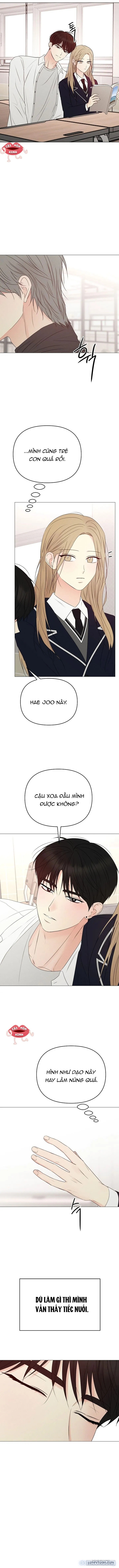 Soái Ca Kiểu Mẫu 