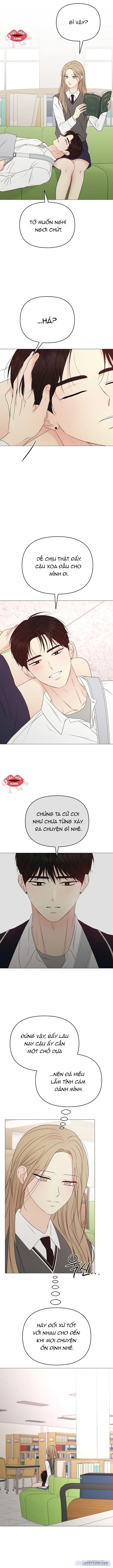 Soái Ca Kiểu Mẫu 