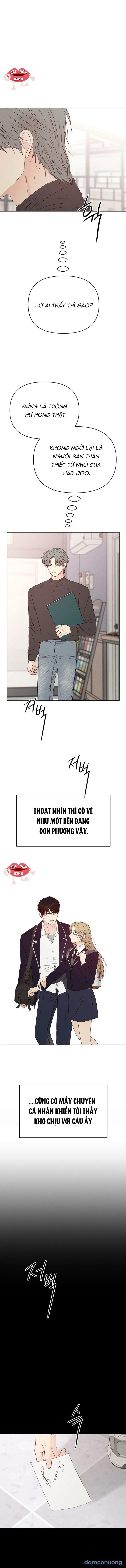 Soái Ca Kiểu Mẫu 