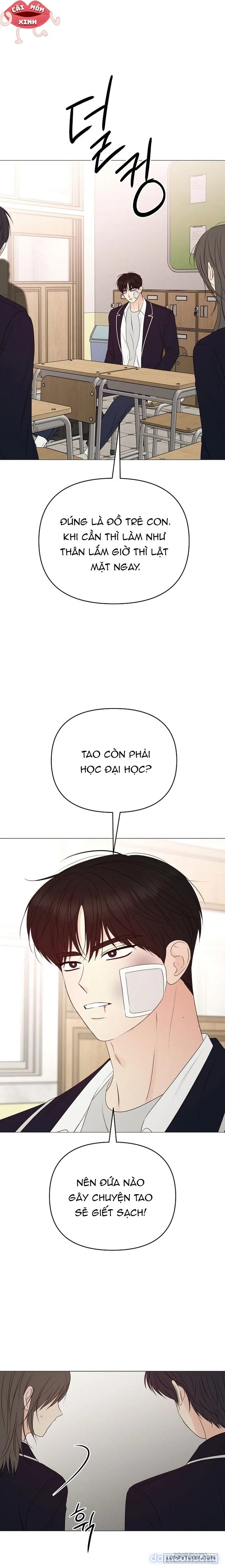 Soái Ca Kiểu Mẫu 