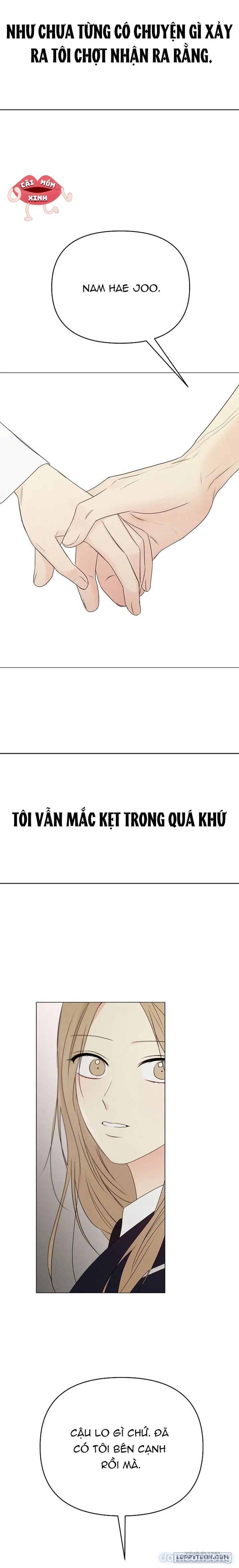 Soái Ca Kiểu Mẫu 