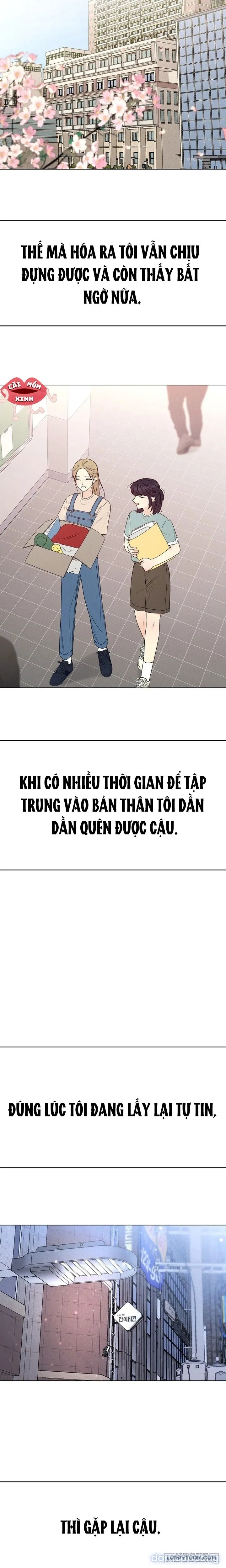 Soái Ca Kiểu Mẫu 