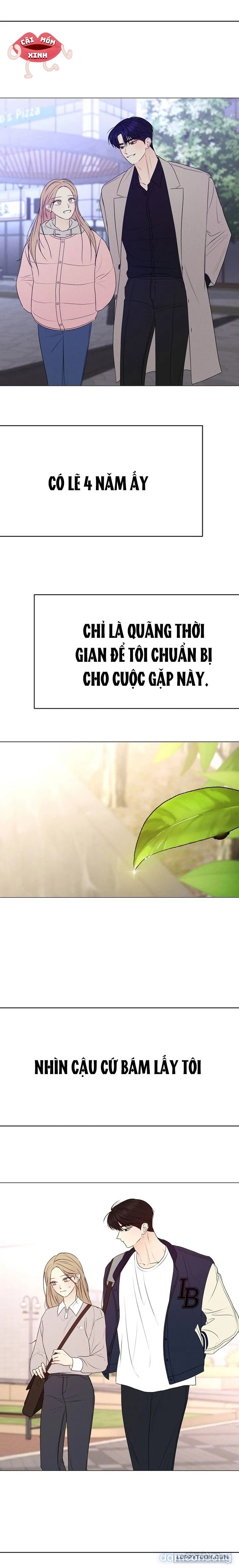 Soái Ca Kiểu Mẫu 