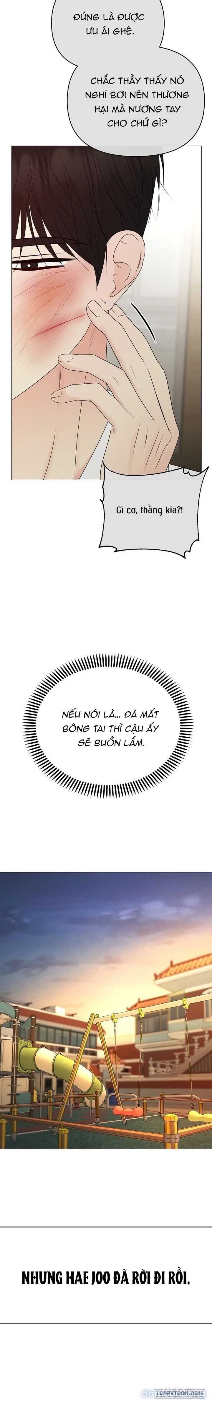 Soái Ca Kiểu Mẫu 
