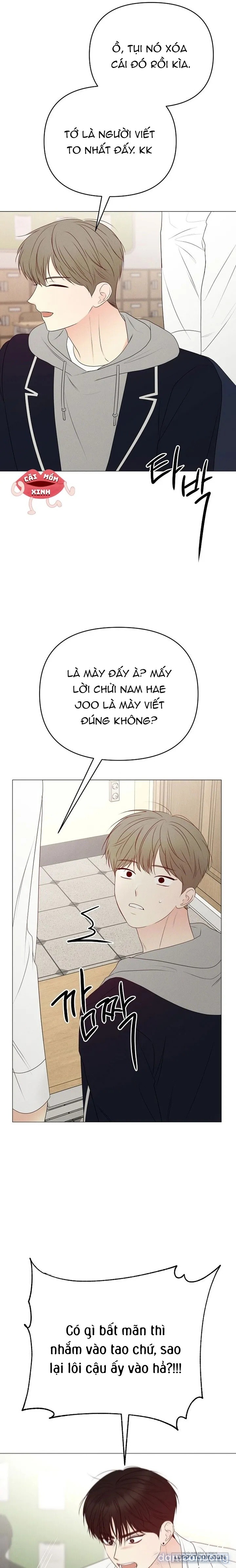 Soái Ca Kiểu Mẫu 