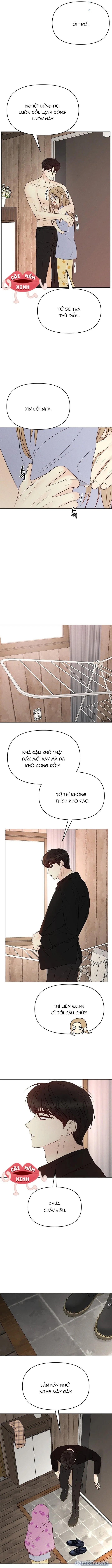 Soái Ca Kiểu Mẫu 