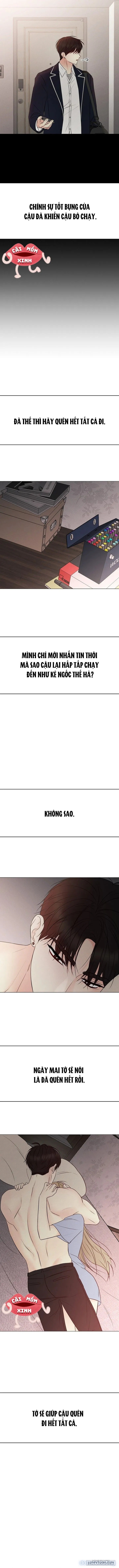 Soái Ca Kiểu Mẫu 
