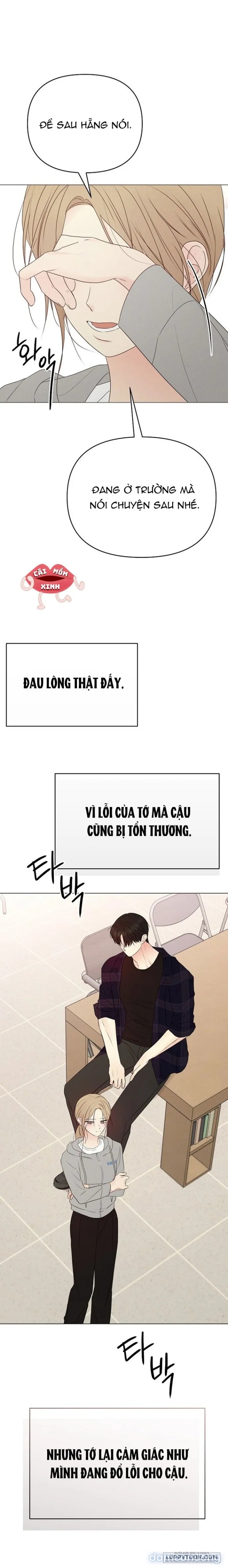 Soái Ca Kiểu Mẫu 