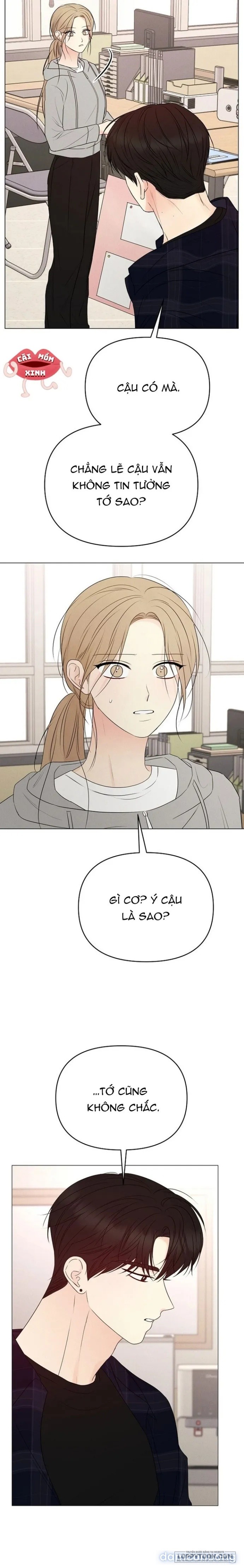 Soái Ca Kiểu Mẫu 