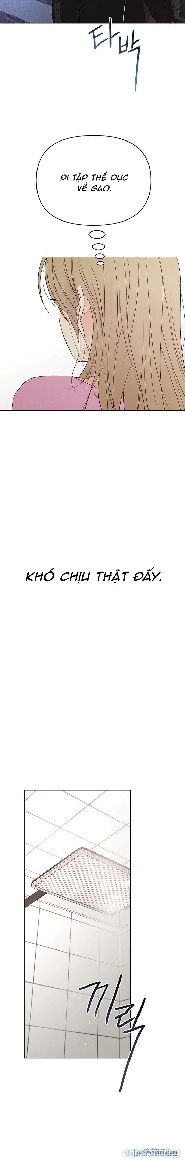 Soái Ca Kiểu Mẫu 