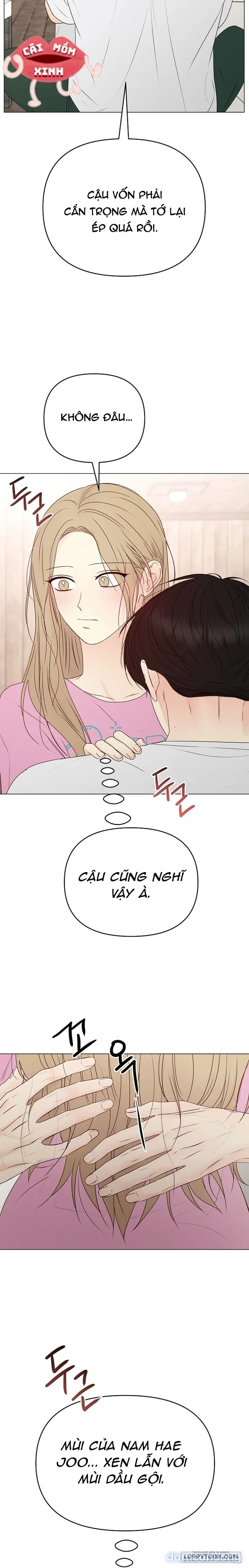 Soái Ca Kiểu Mẫu 