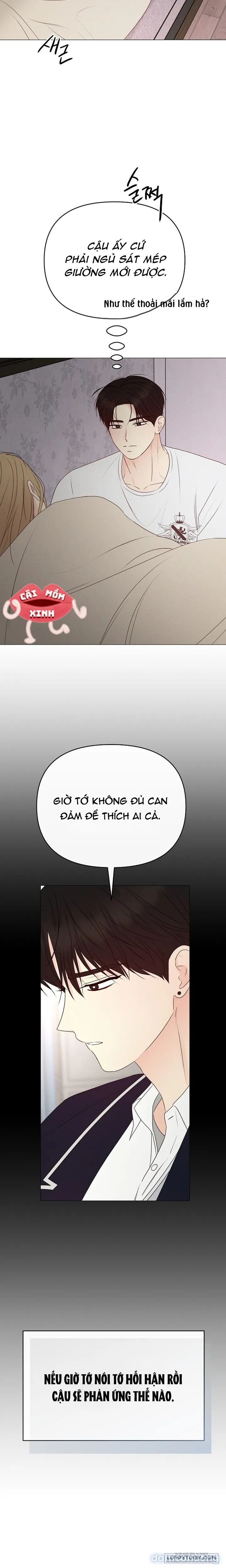 Soái Ca Kiểu Mẫu 