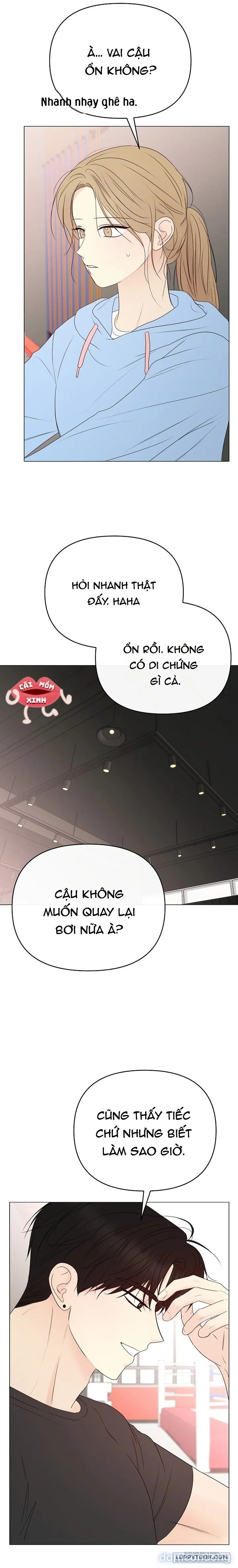 Soái Ca Kiểu Mẫu 