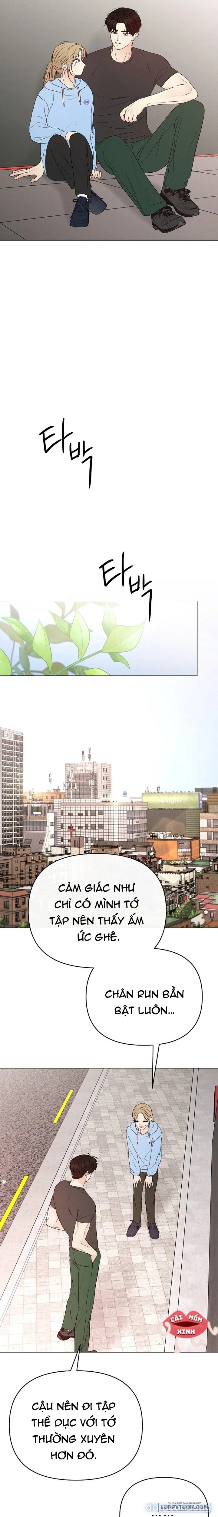 Soái Ca Kiểu Mẫu 