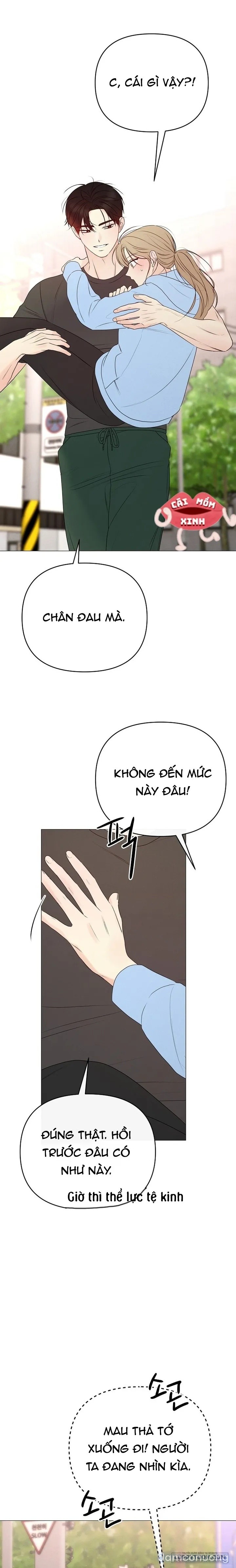 Soái Ca Kiểu Mẫu 