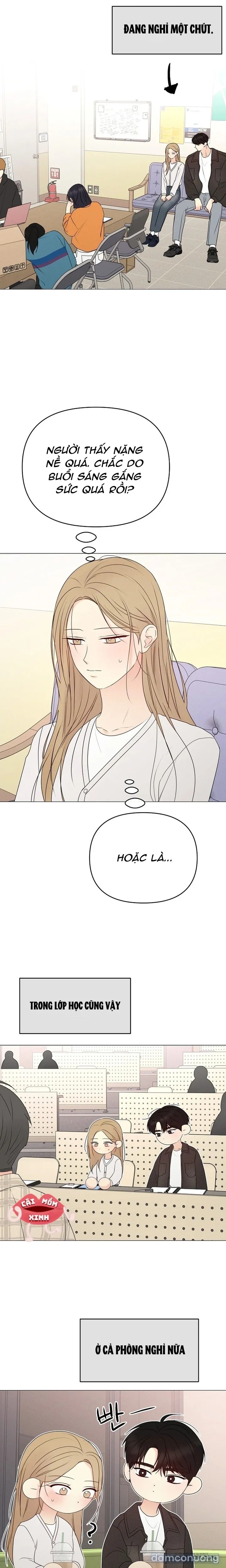 Soái Ca Kiểu Mẫu 