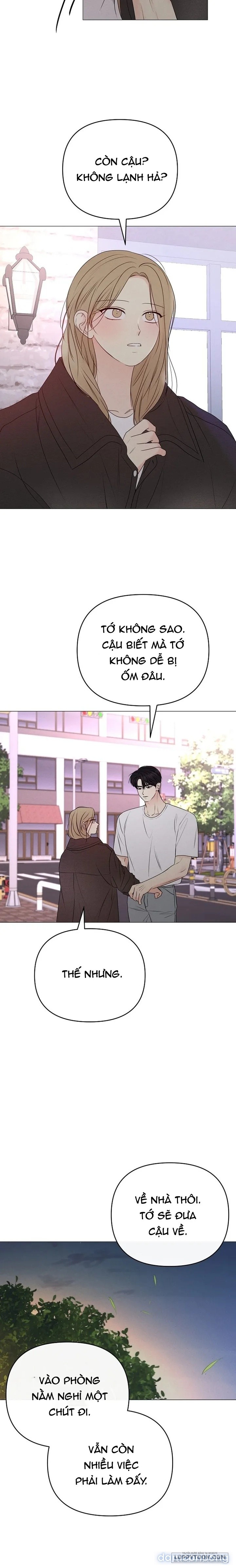 Soái Ca Kiểu Mẫu 