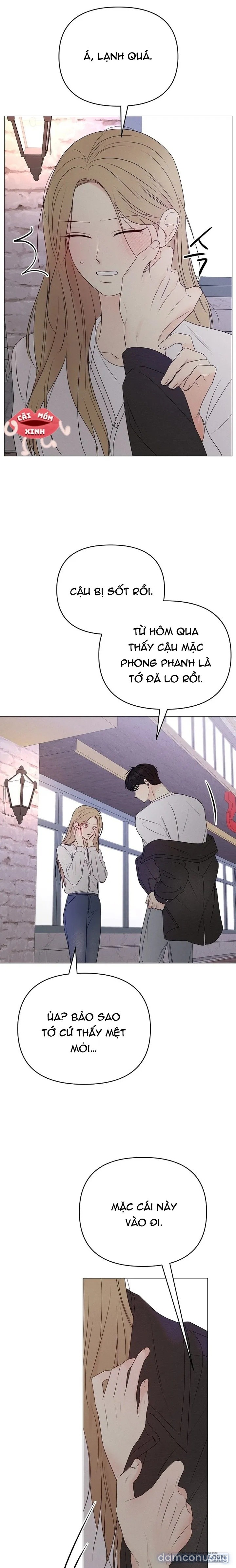 Soái Ca Kiểu Mẫu 