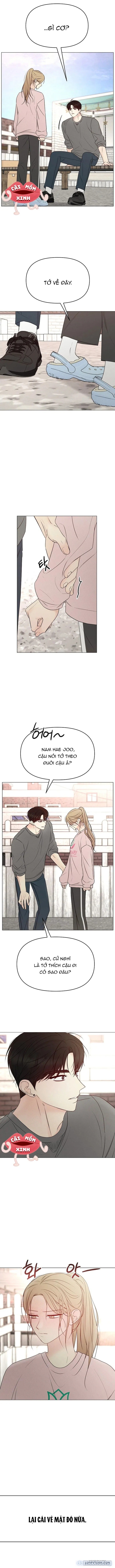 Soái Ca Kiểu Mẫu 