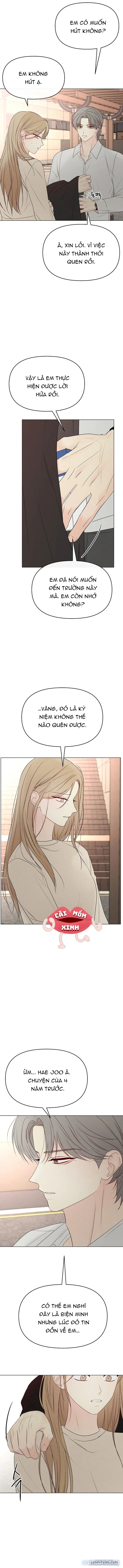 Soái Ca Kiểu Mẫu 
