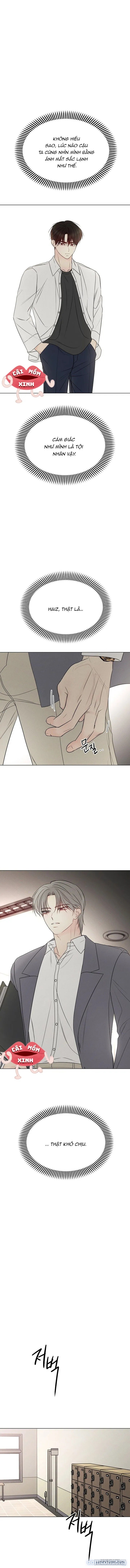 Soái Ca Kiểu Mẫu 