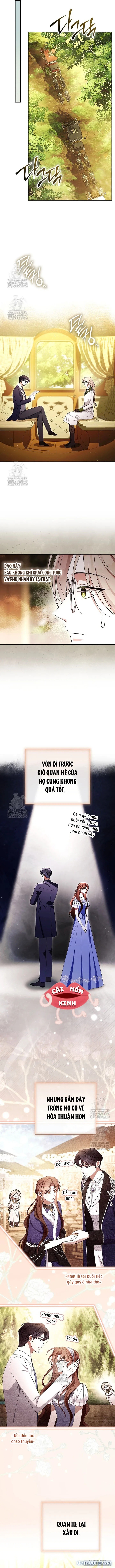 Hôn Phu À, Ta Biết Chàng Ghét Ta 
