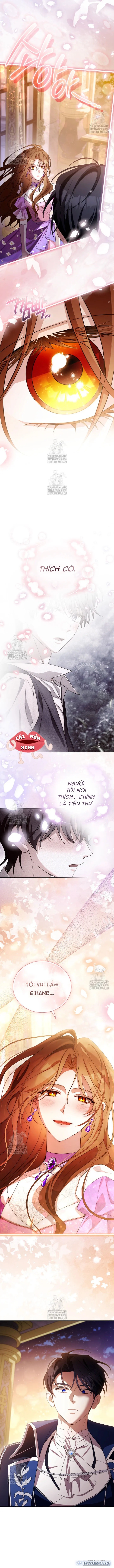 Hôn Phu À, Ta Biết Chàng Ghét Ta 