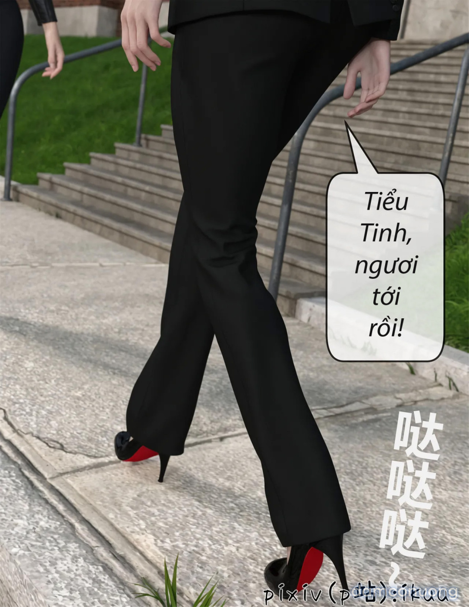 Hoa Hồng Trầm Luân 