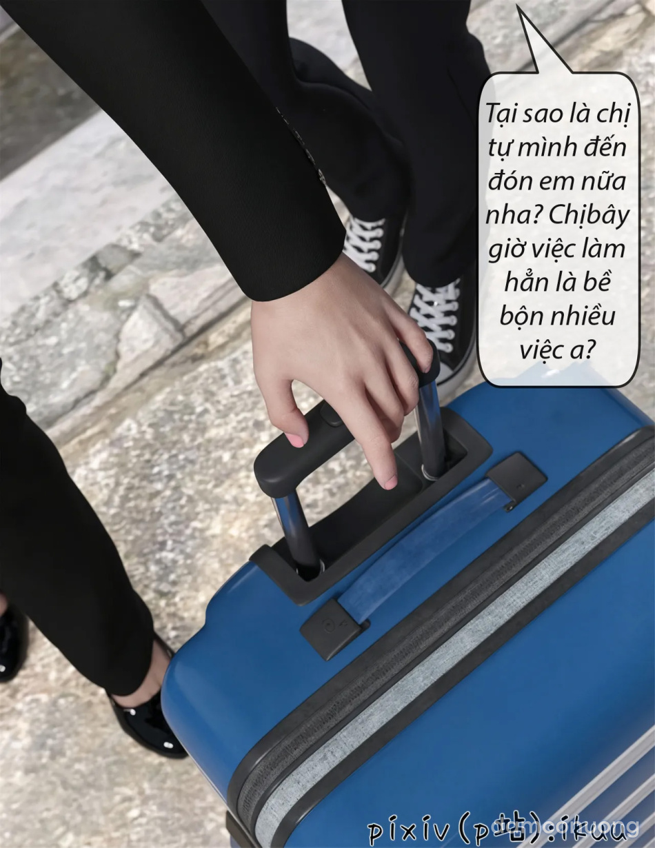 Hoa Hồng Trầm Luân 