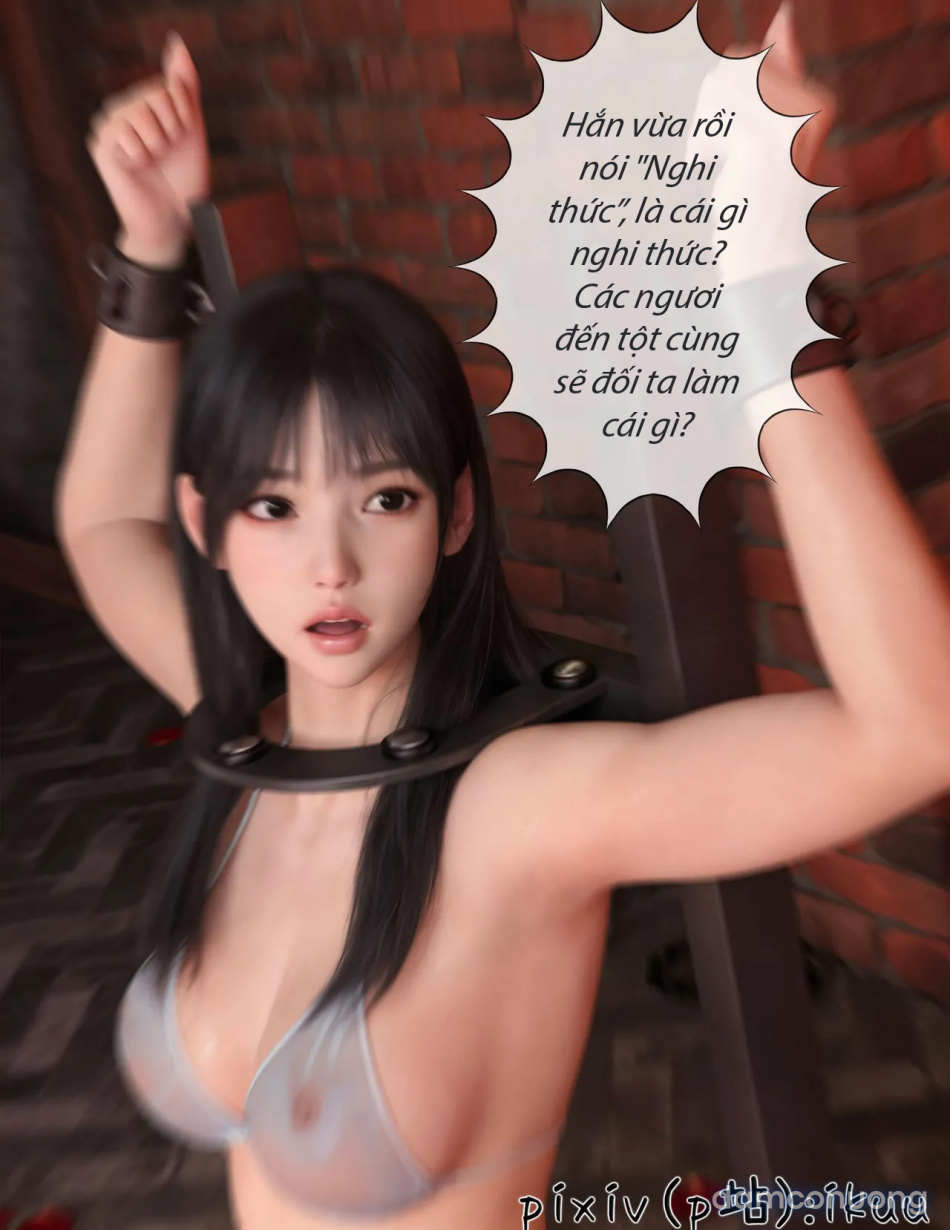 Hoa Hồng Trầm Luân 