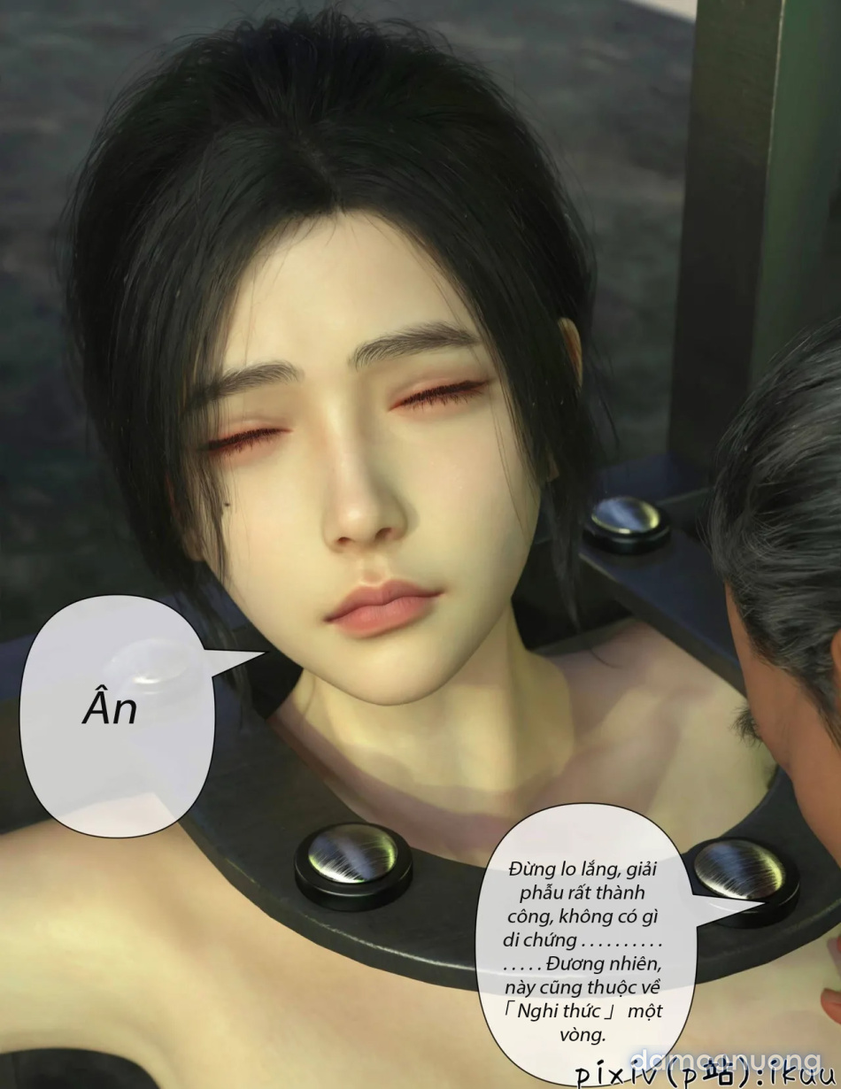 Hoa Hồng Trầm Luân 