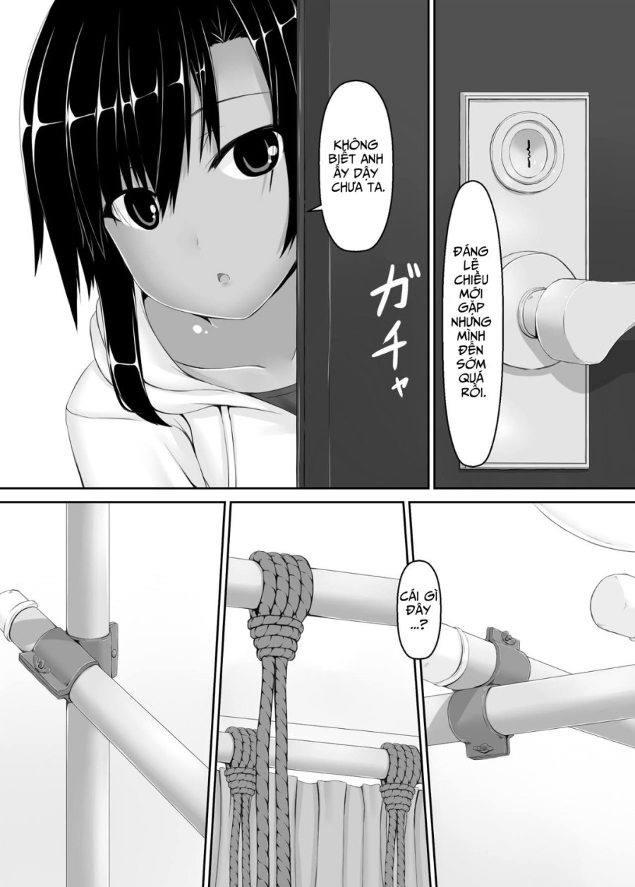 Sô cô la mèo đen Ise 