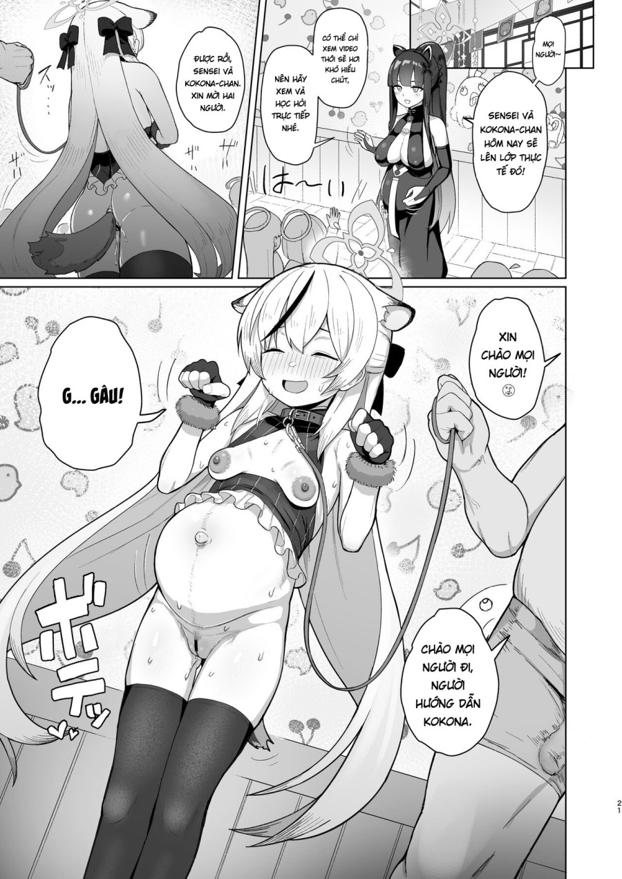 Kokona làm rất tốt! 